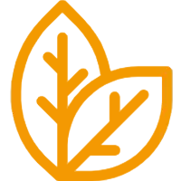 Social Responsibility