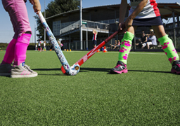 Hockey Turf