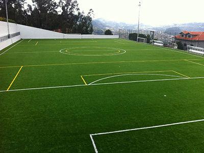 Multi-sports Turf